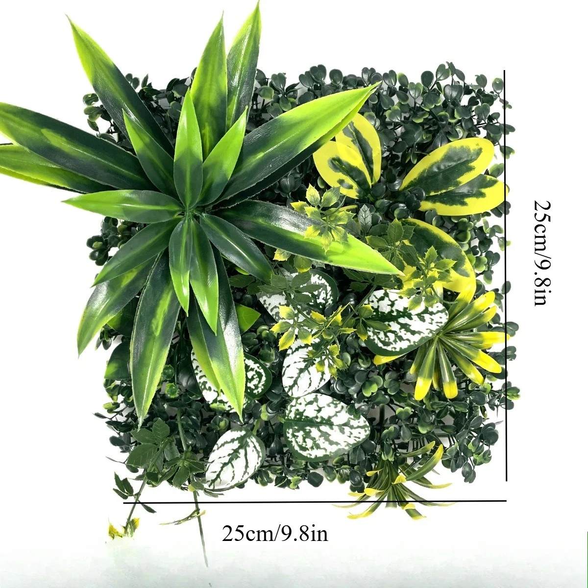 Mini Jungle: Compact square with bold, pointed foliage. Dimensions shown: 25 × 25 cm.